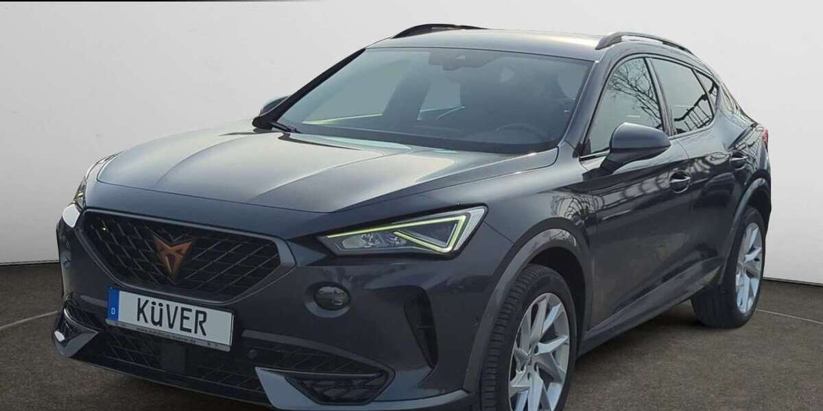 Cupra Formentor 97.800 km 20.698 &euro; Hagen 27628