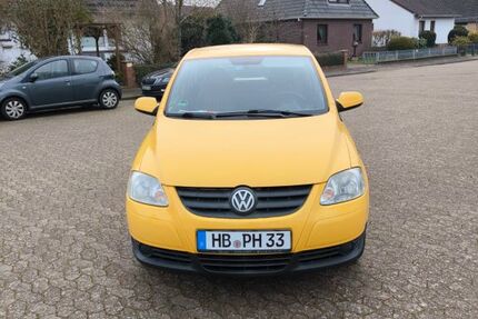 VW Fox