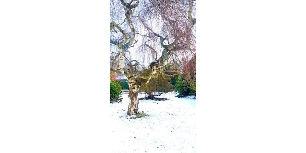 Mehrfamilienhaus, Wohnhaus Bremerhaven Lehe - 8 Zimmer, 140 m&sup2;, 250.000&euro; | Angebot:24735780