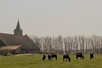 Bauernhaus, Landhaus Wurster Nordseeküste - 1.700.000&euro; | Angebot:26991114
