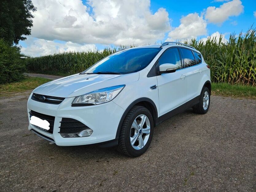 Kuga